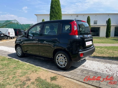 Fiat Pandina 1.0 firefly hybrid Icon s&s 65cv (2)