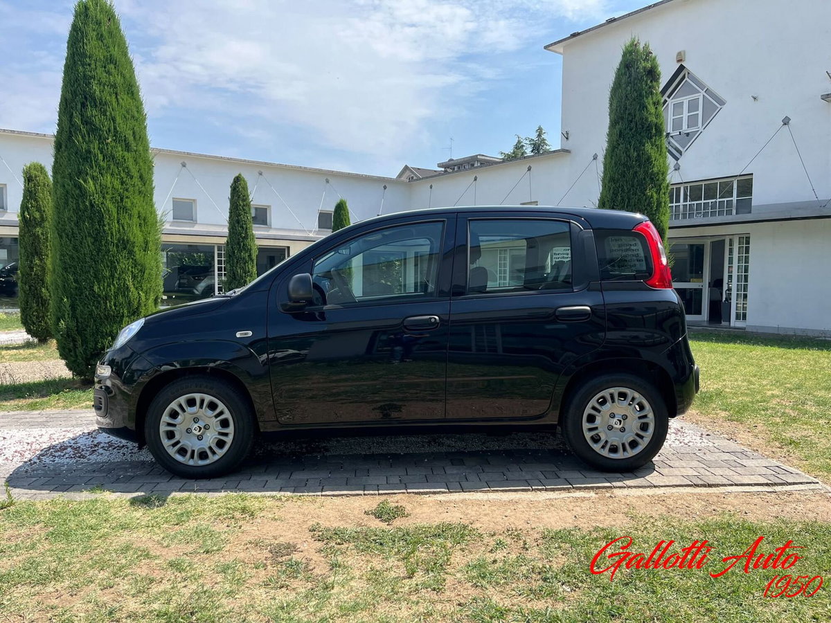 Fiat Pandina 1.0 firefly hybrid Icon s&s 65cv (3)