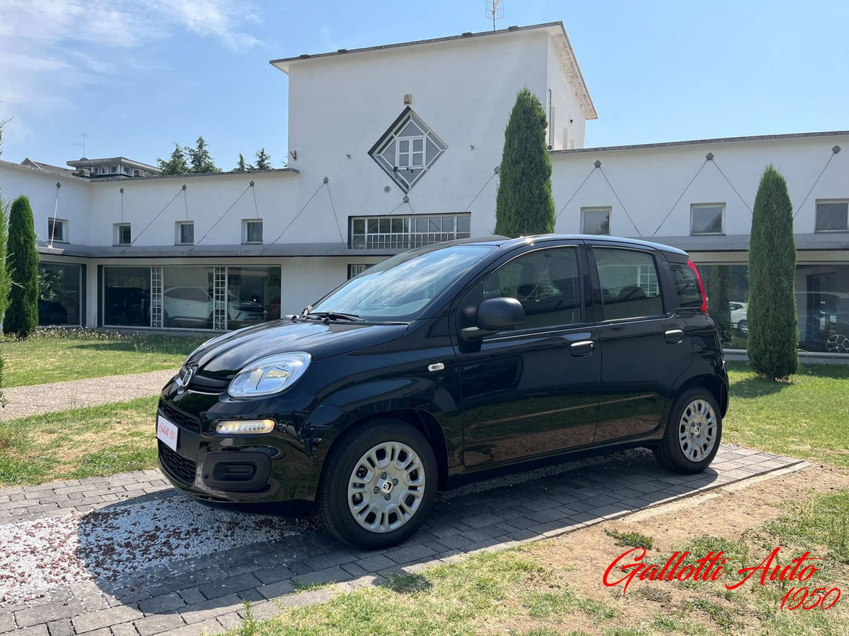 Fiat Pandina 1.0 firefly hybrid Icon s&s 65cv (4)
