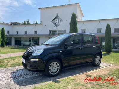 Fiat Pandina 1.0 firefly hybrid Icon s&s 65cv (4)