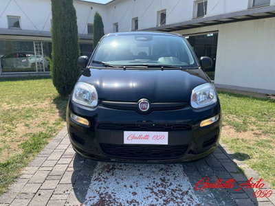 Fiat Pandina 1.0 firefly hybrid Icon s&s 65cv (5)