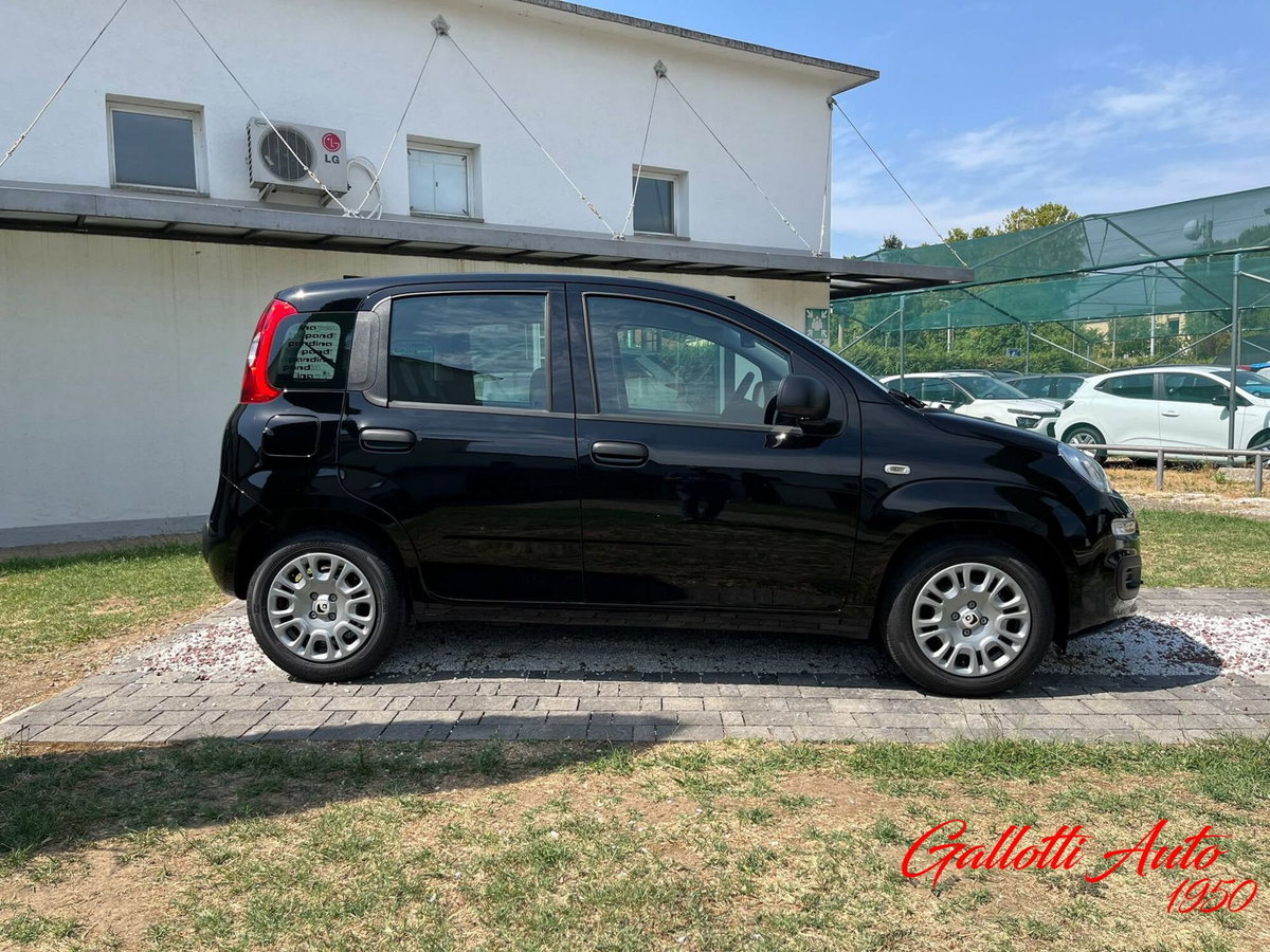 Fiat Pandina 1.0 firefly hybrid Icon s&s 65cv (6)