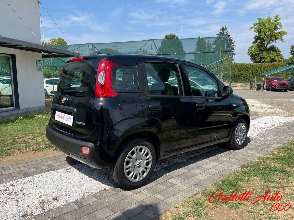 Fiat Pandina 1.0 firefly hybrid Icon s&s 65cv (7)