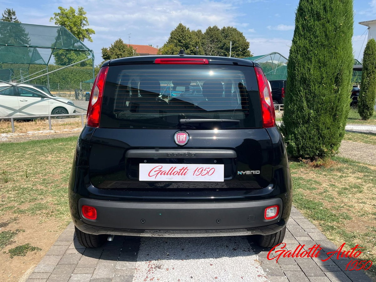 Fiat Pandina 1.0 firefly hybrid Icon s&s 65cv (8)