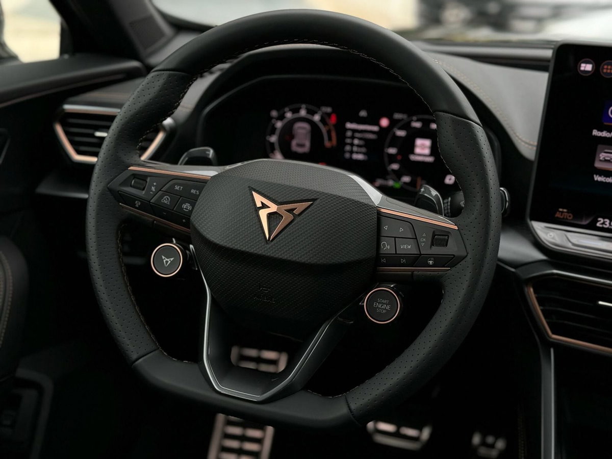 Cupra Formentor 1.5 hybrid 150cv dsg (20)