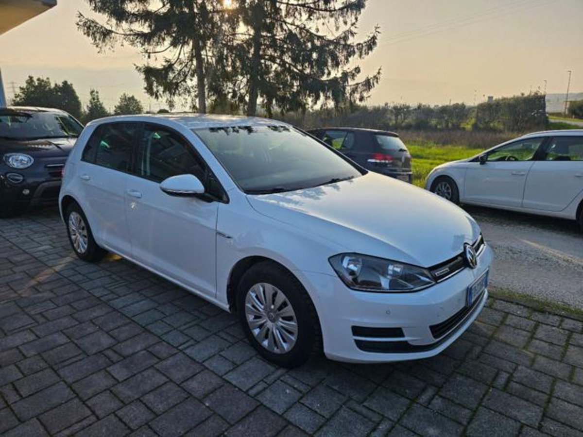 Volkswagen Golf 1.4 TGI 5p. Comfortline BlueMotion (7)