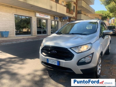 Ford EcoSport 1.5 Ecoblue 100 CV Start&Stop Business usata
