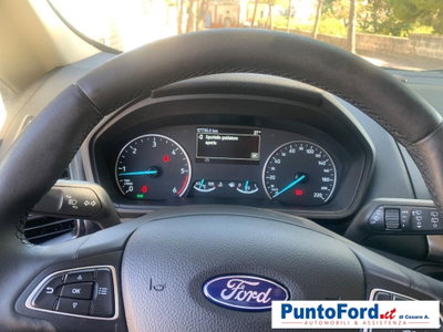 Ford EcoSport 1.5 Ecoblue 100 CV Start&Stop Business (14)