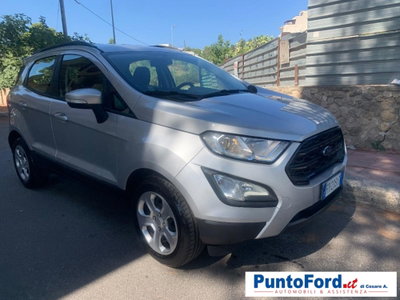 Ford EcoSport 1.5 Ecoblue 100 CV Start&Stop Business (4)