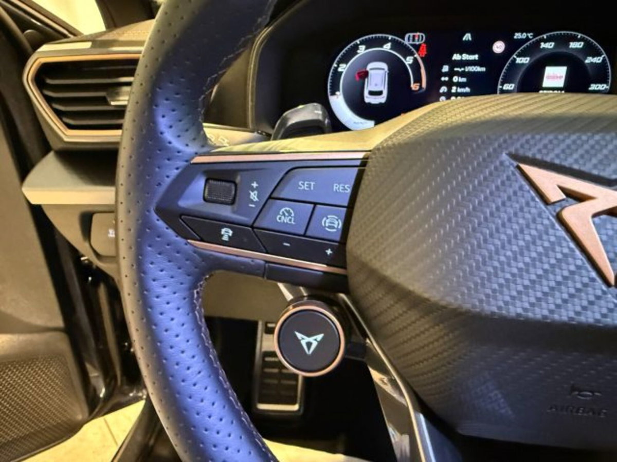 Cupra Leon Station Wagon Leon Sportstourer 2.0 tdi 4drive 150cv dsg (10)