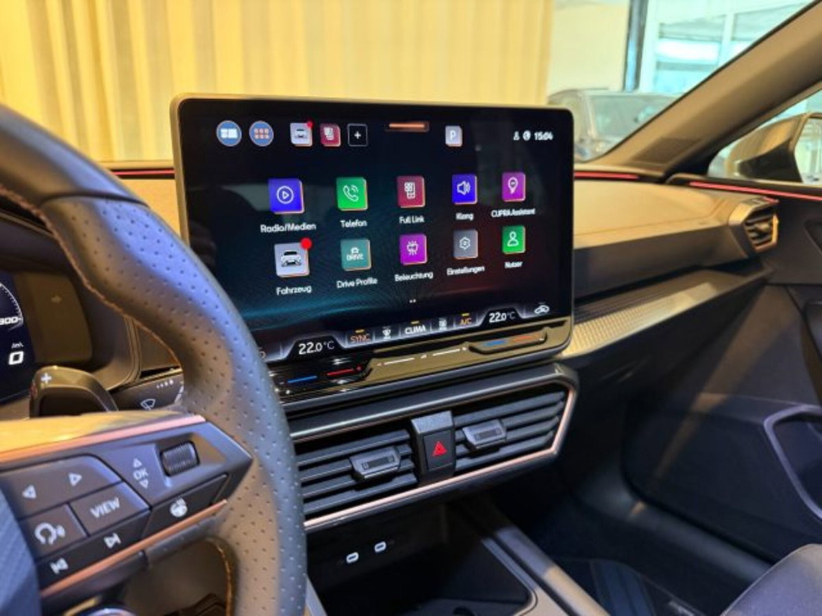 Cupra Leon Station Wagon Leon Sportstourer 2.0 tdi 4drive 150cv dsg (13)