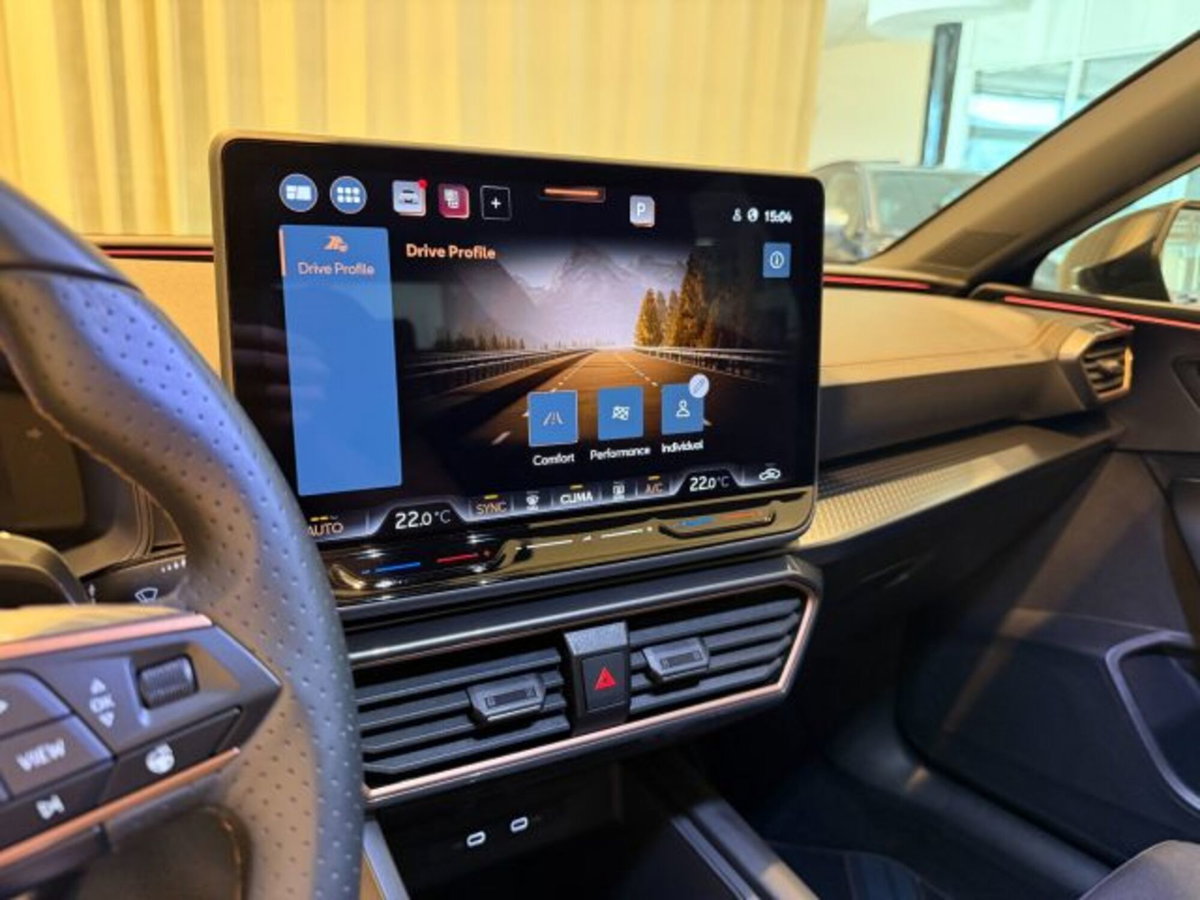 Cupra Leon Station Wagon Leon Sportstourer 2.0 tdi 4drive 150cv dsg (15)