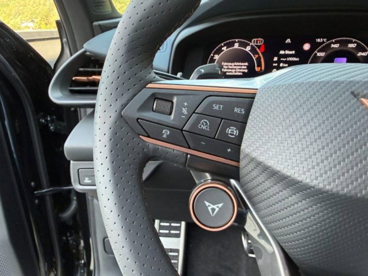 Cupra Terramar 2.0 tsi VZ 4drive 265cv dsg (11)