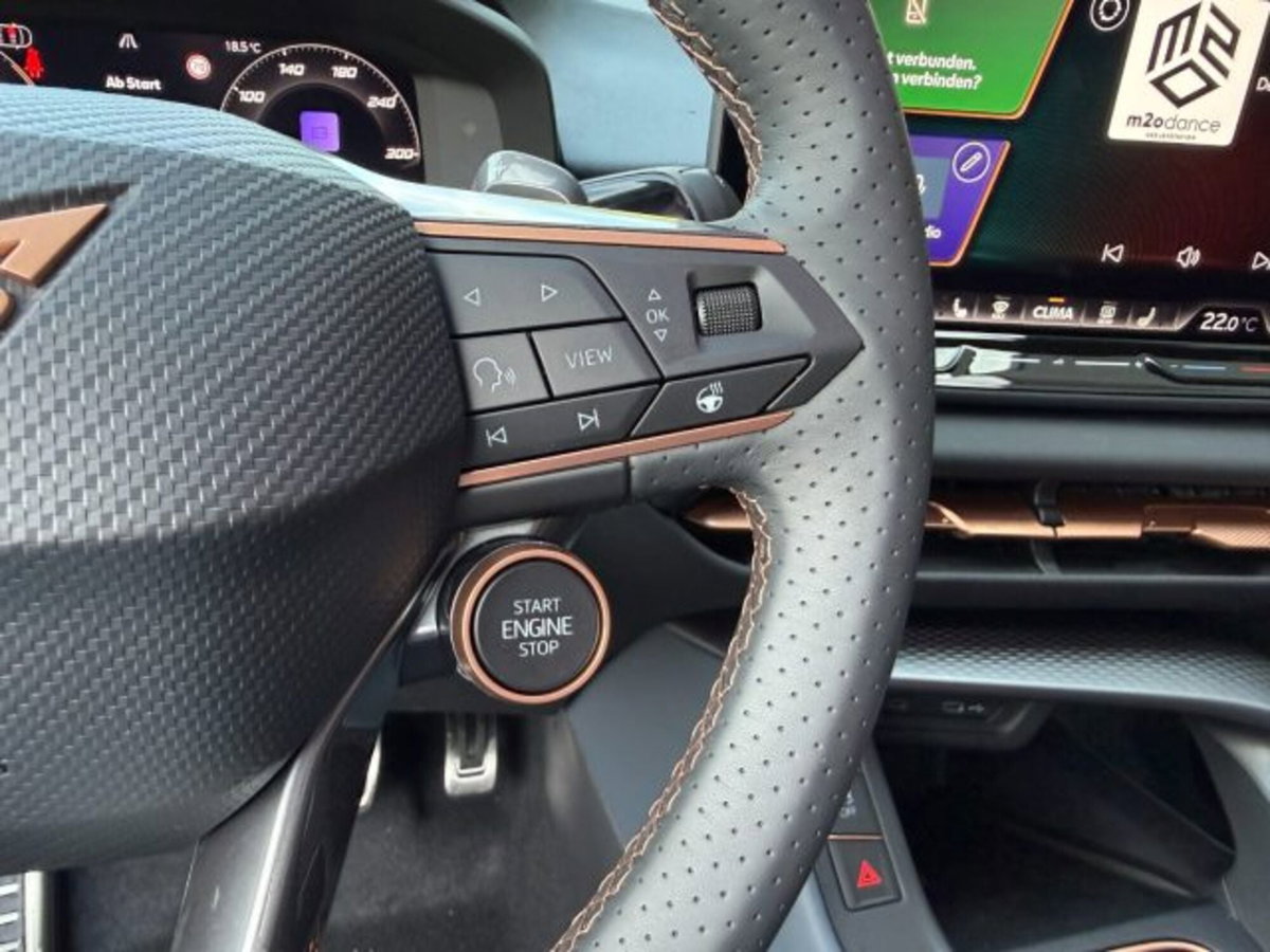 Cupra Terramar 2.0 tsi VZ 4drive 265cv dsg (12)