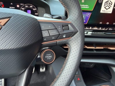 Cupra Terramar 2.0 tsi VZ 4drive 265cv dsg (12)
