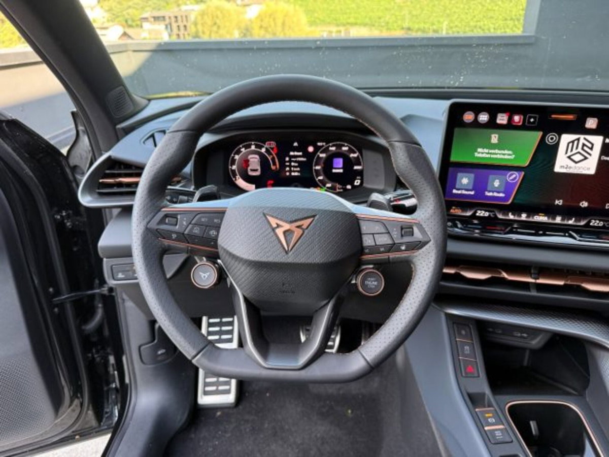 Cupra Terramar 2.0 tsi VZ 4drive 265cv dsg (7)