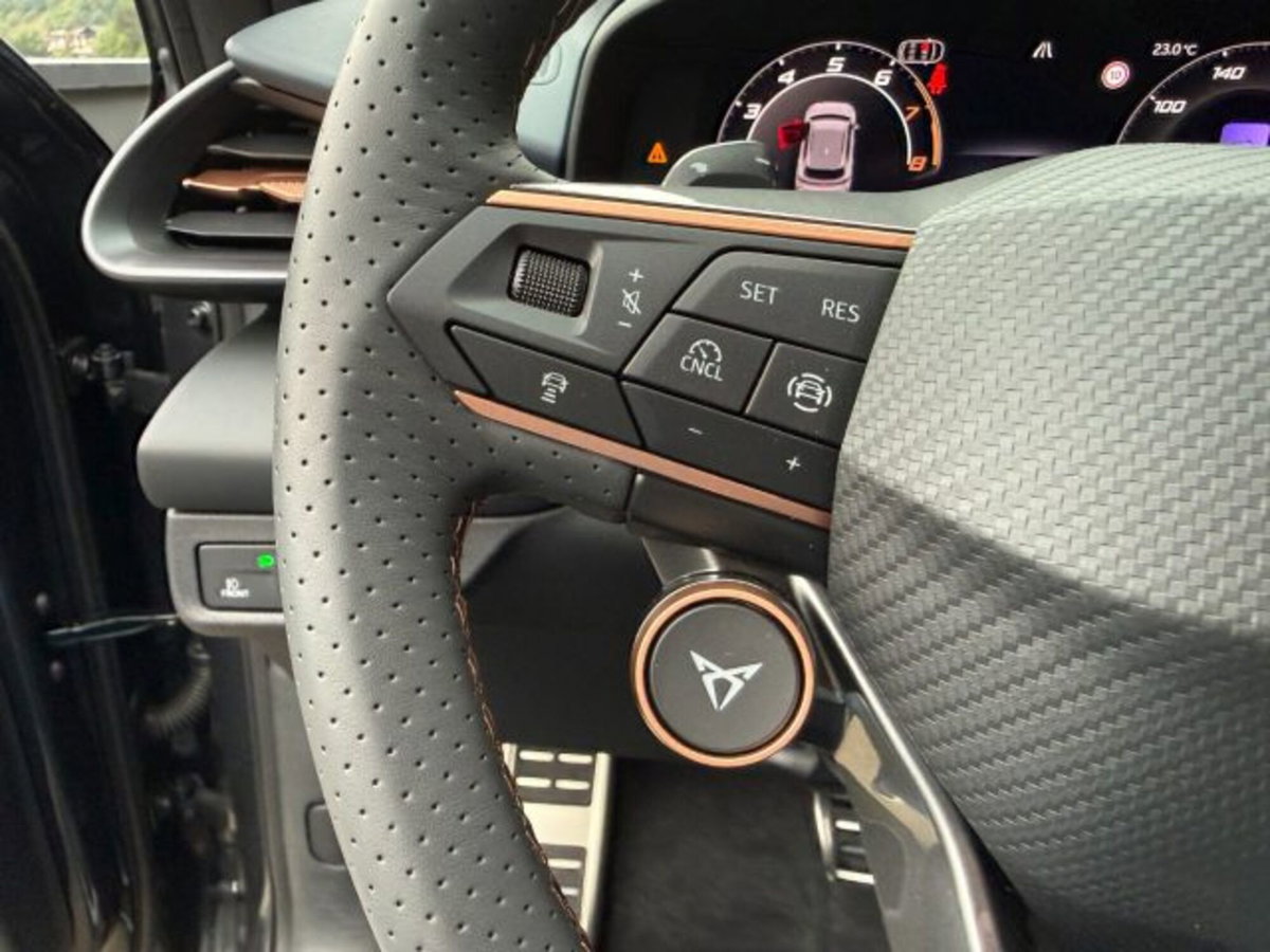 Cupra Terramar 2.0 tsi VZ 4drive 265cv dsg (12)