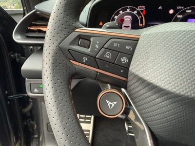 Cupra Terramar 2.0 tsi VZ 4drive 265cv dsg (12)