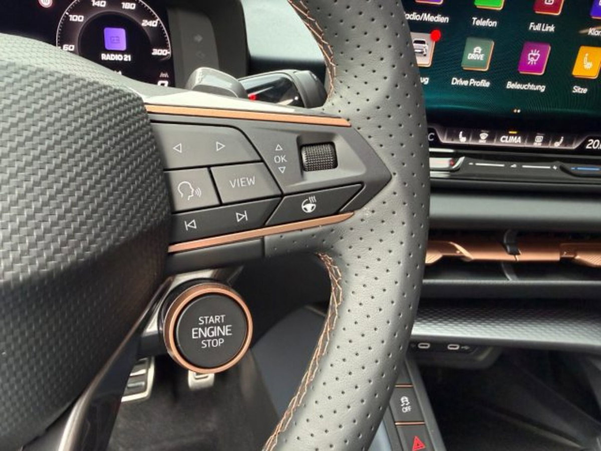 Cupra Terramar 2.0 tsi VZ 4drive 265cv dsg (13)
