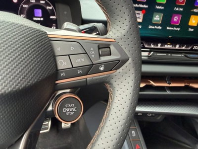 Cupra Terramar 2.0 tsi VZ 4drive 265cv dsg (13)