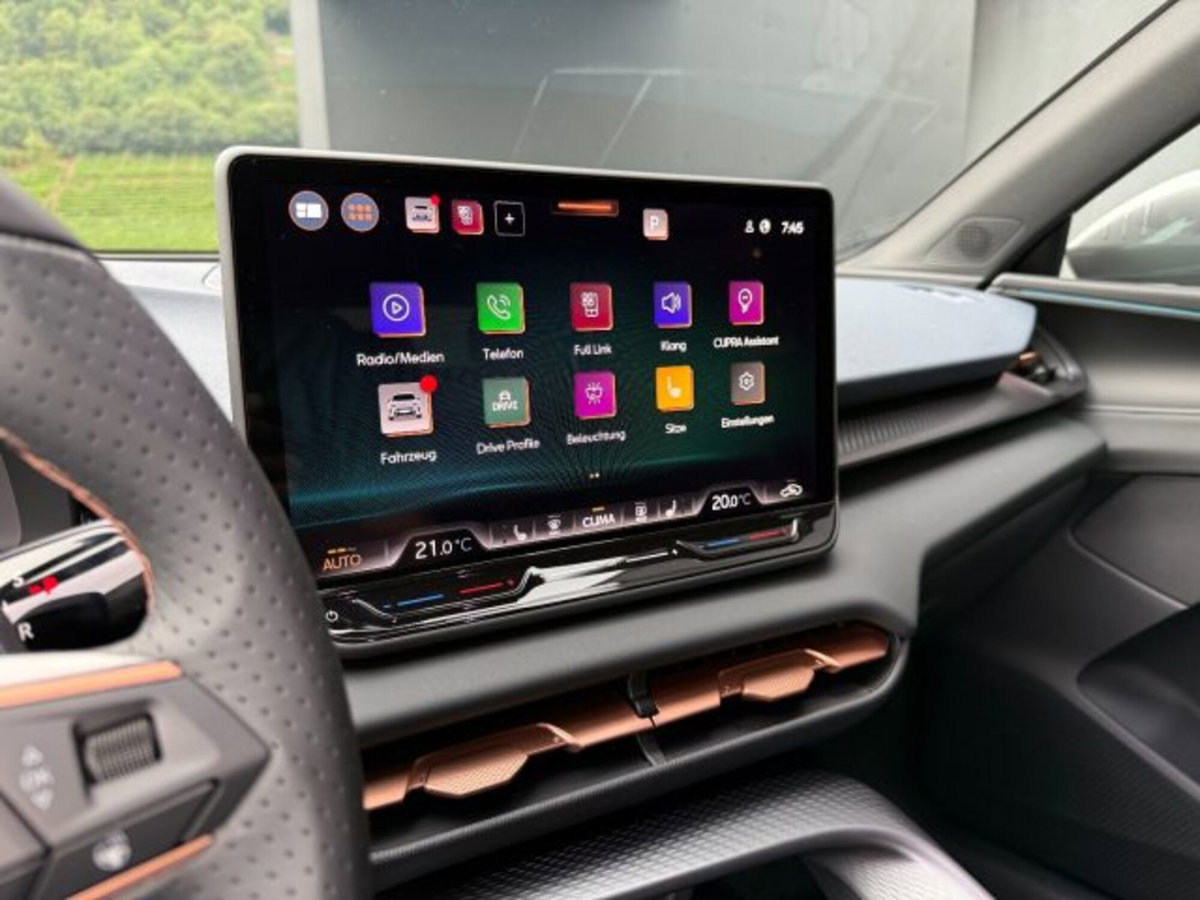 Cupra Terramar 2.0 tsi VZ 4drive 265cv dsg (14)