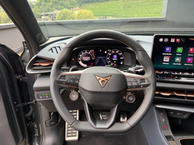 Cupra Terramar 2.0 tsi VZ 4drive 265cv dsg (8)