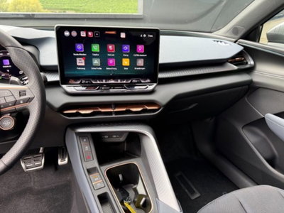 Cupra Terramar 2.0 tsi VZ 4drive 265cv dsg (9)
