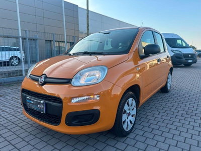 Fiat Panda 1.2 Easy usata
