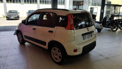 Fiat Panda Cross Cross 1.0 FireFly S&S Hybrid (4)