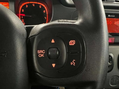 Fiat Panda 0.9 TwinAir Turbo S&S 4x4 Wild (15)
