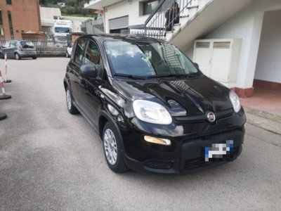 Fiat Panda 1.0 firefly hybrid s&s 70cv 5p.ti usata