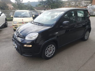 Fiat Panda 1.0 firefly hybrid s&s 70cv 5p.ti (2)