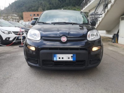 Fiat Panda 1.0 firefly hybrid s&s 70cv 5p.ti (3)