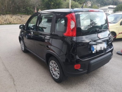 Fiat Panda 1.0 firefly hybrid s&s 70cv 5p.ti (4)