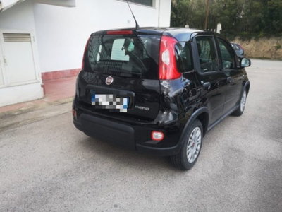 Fiat Panda 1.0 firefly hybrid s&s 70cv 5p.ti (5)