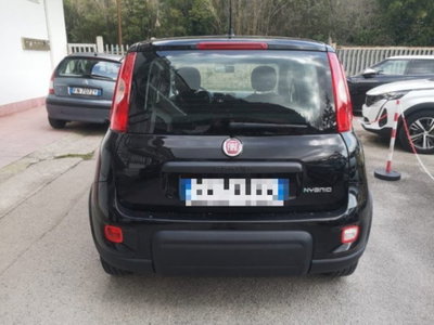 Fiat Panda 1.0 firefly hybrid s&s 70cv 5p.ti (6)