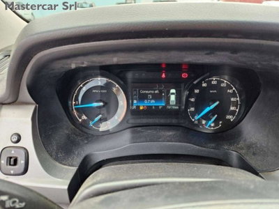 Ford Ranger Pick-up 2.0 ecoblue super cab XLT 4x4 170cv auto (14)