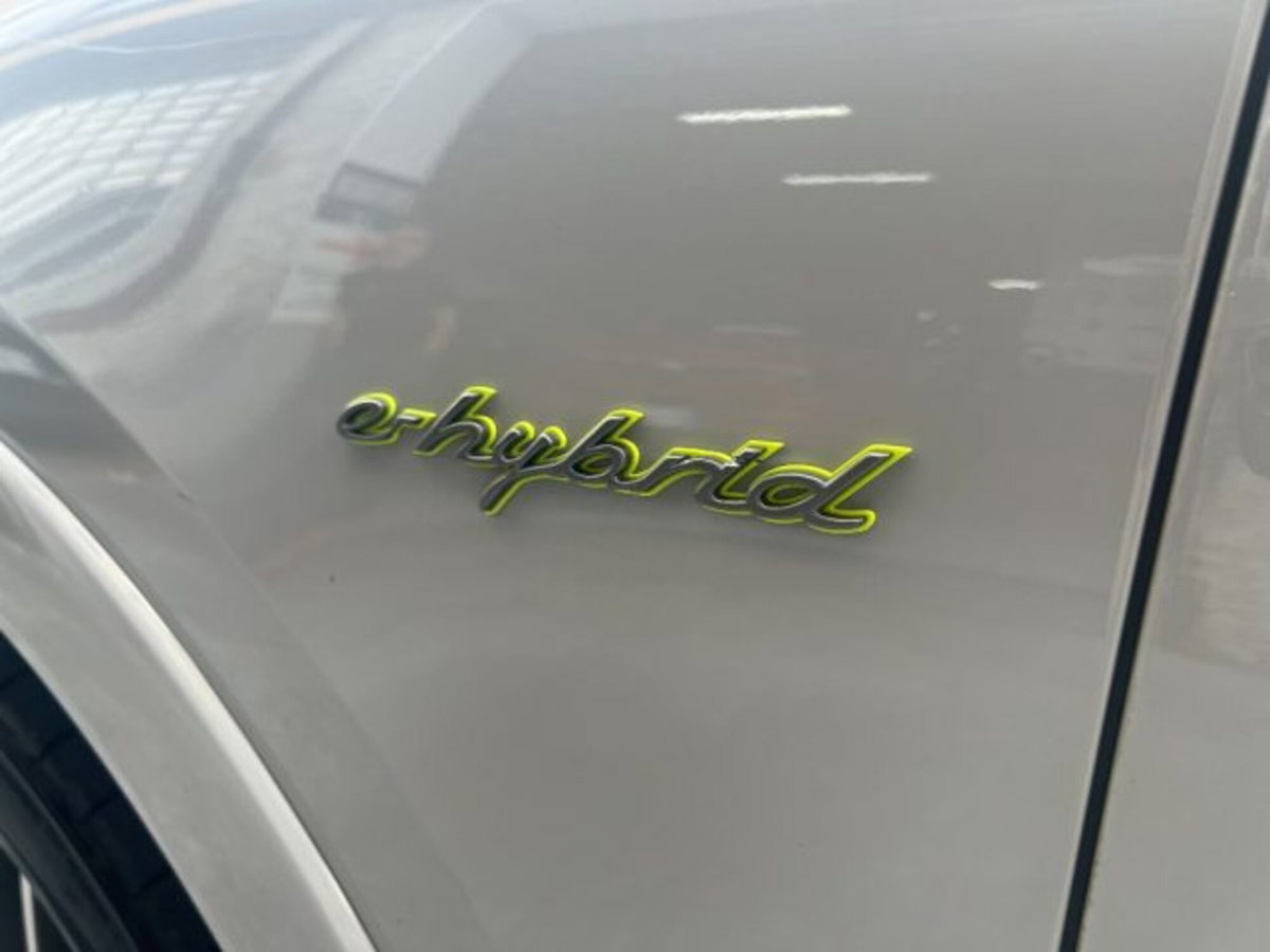 Porsche Cayenne Coupé 3.0 V6 Platinum Edition (7)