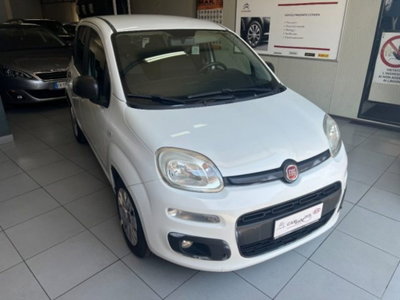 Fiat Panda 1.3 MJT 95 CV S&S Easy (5)