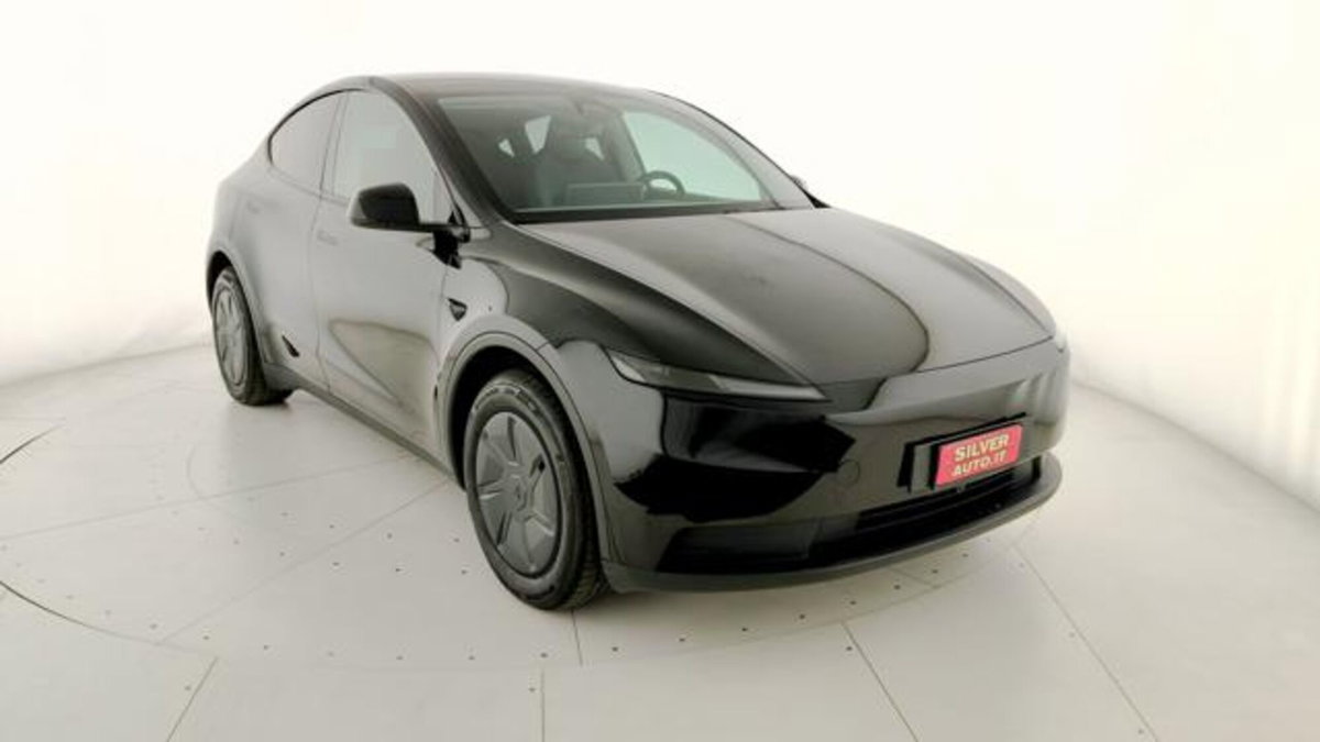 Tesla Model Y Standard Range rwd