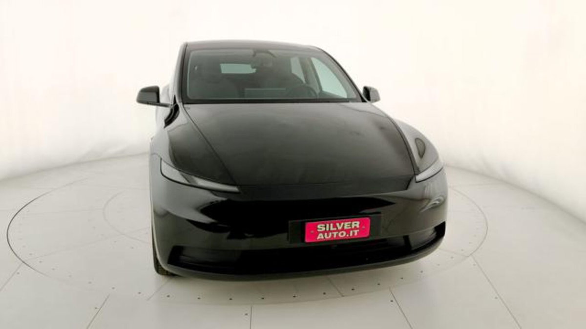Tesla Model Y Standard Range rwd (2)