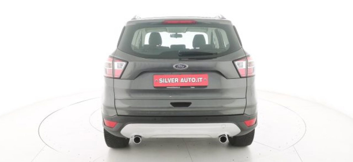 Ford Kuga 1.5 TDCI 120 CV S&S 2WD Titanium (6)