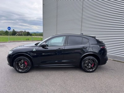 Alfa Romeo Stelvio Stelvio 2.9 Bi-Turbo V6 510 CV AT8 Quadrifoglio (8)