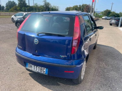 Fiat Punto Classic 1.2 5 porte Natural Power (4)