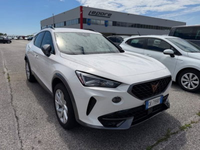 Cupra Formentor Formentor 2.0 tdi 4drive 150cv dsg (3)