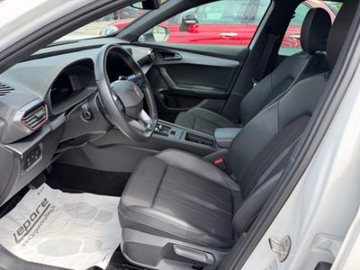 Cupra Formentor Formentor 2.0 tdi 4drive 150cv dsg (8)