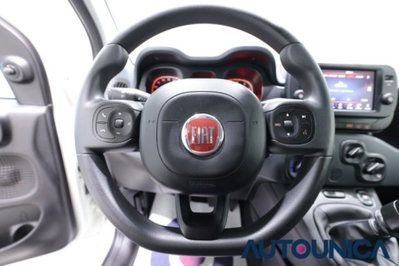 Fiat Panda Cross 1.0 firefly hybrid Cross s&s 70cv 5p.ti (7)