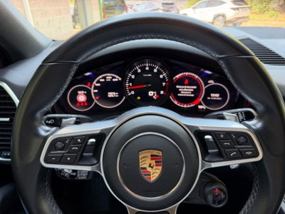 Porsche Cayenne 3.0 V6 Platinum Edition (8)