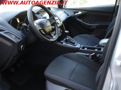 Ford Focus 1.5 TDCi 120 CV Start&Stop Business (12)