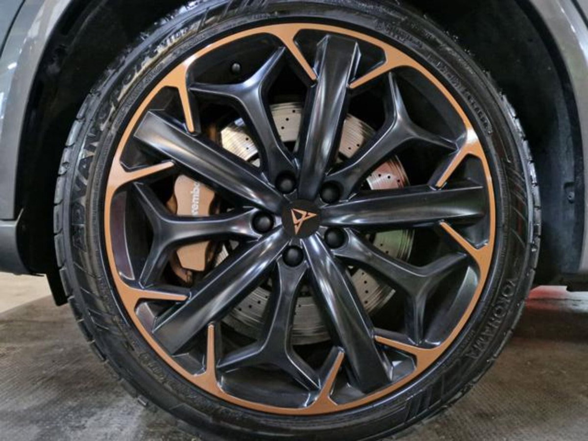 Cupra Formentor Formentor 2.0 TSI 4Drive DSG VZ Launch Edition (6)